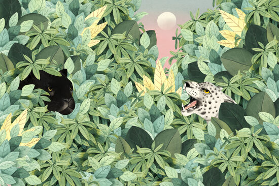 JAGUARS
